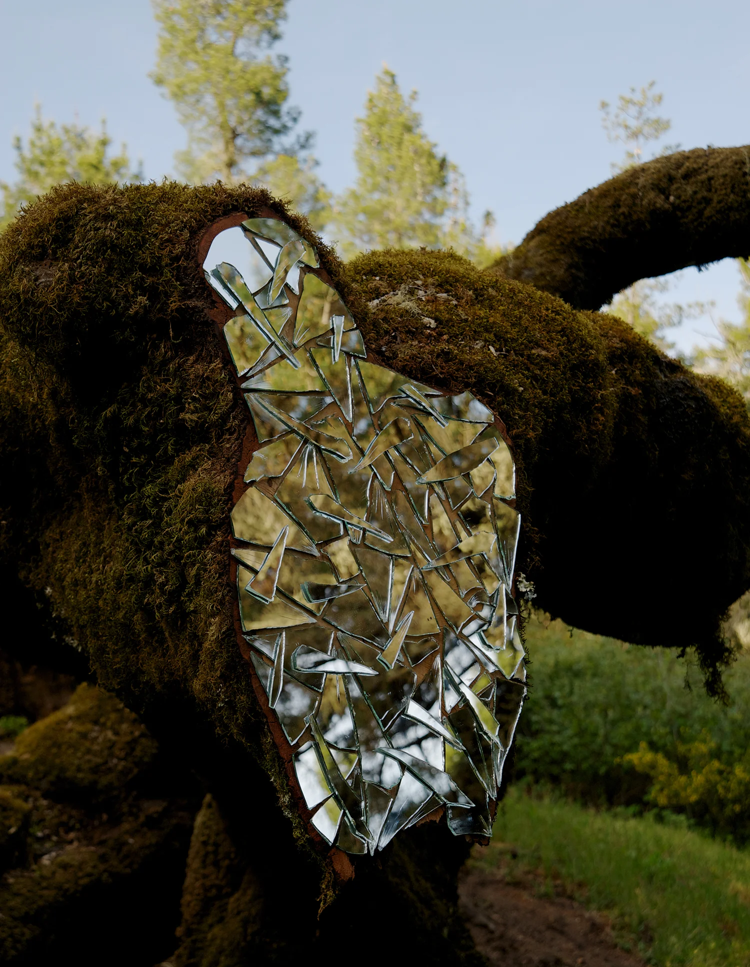 After the Celestial Axe — the mirror sculpture reflecting the surrounding forest