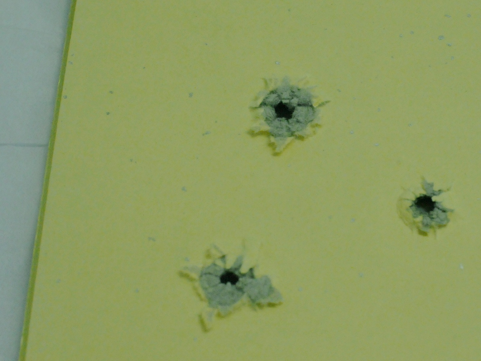 Back view of bullet holes, blossoming like flowers of evil
