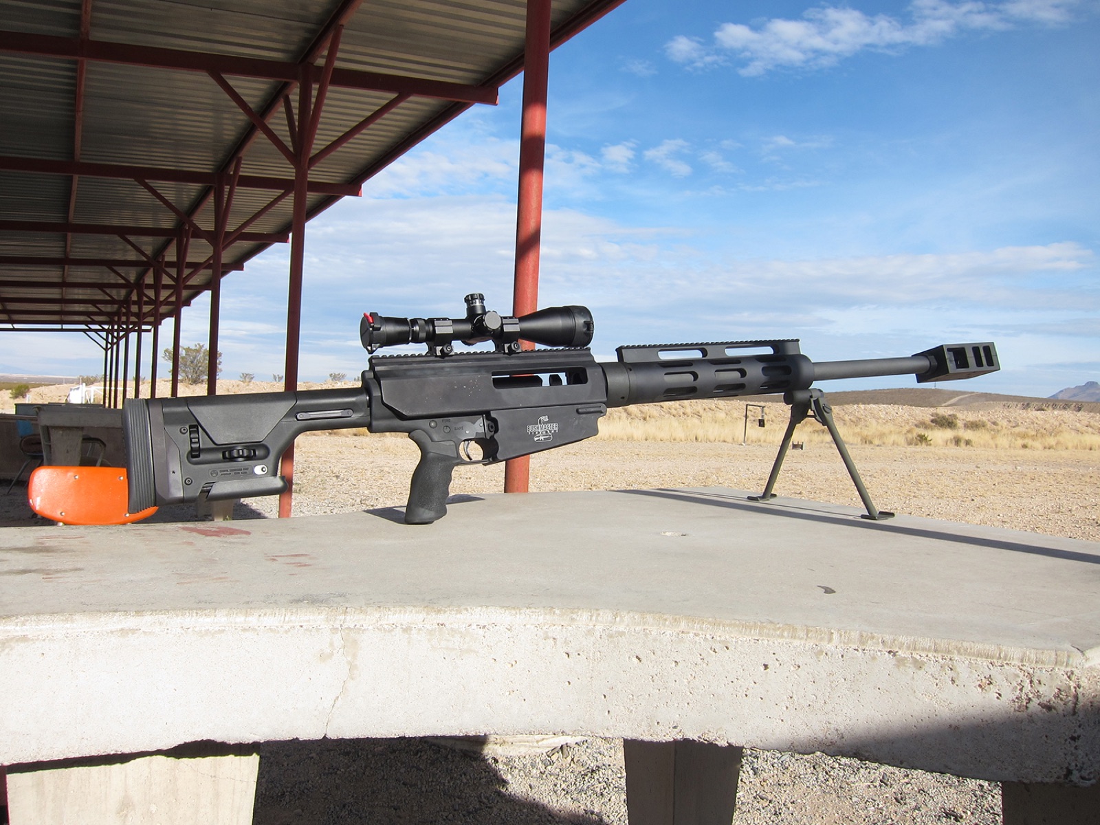 A Bushmaster BA50 (.50 in/127 mm caliber) rifle was used to shoot bullet holes in the paintings