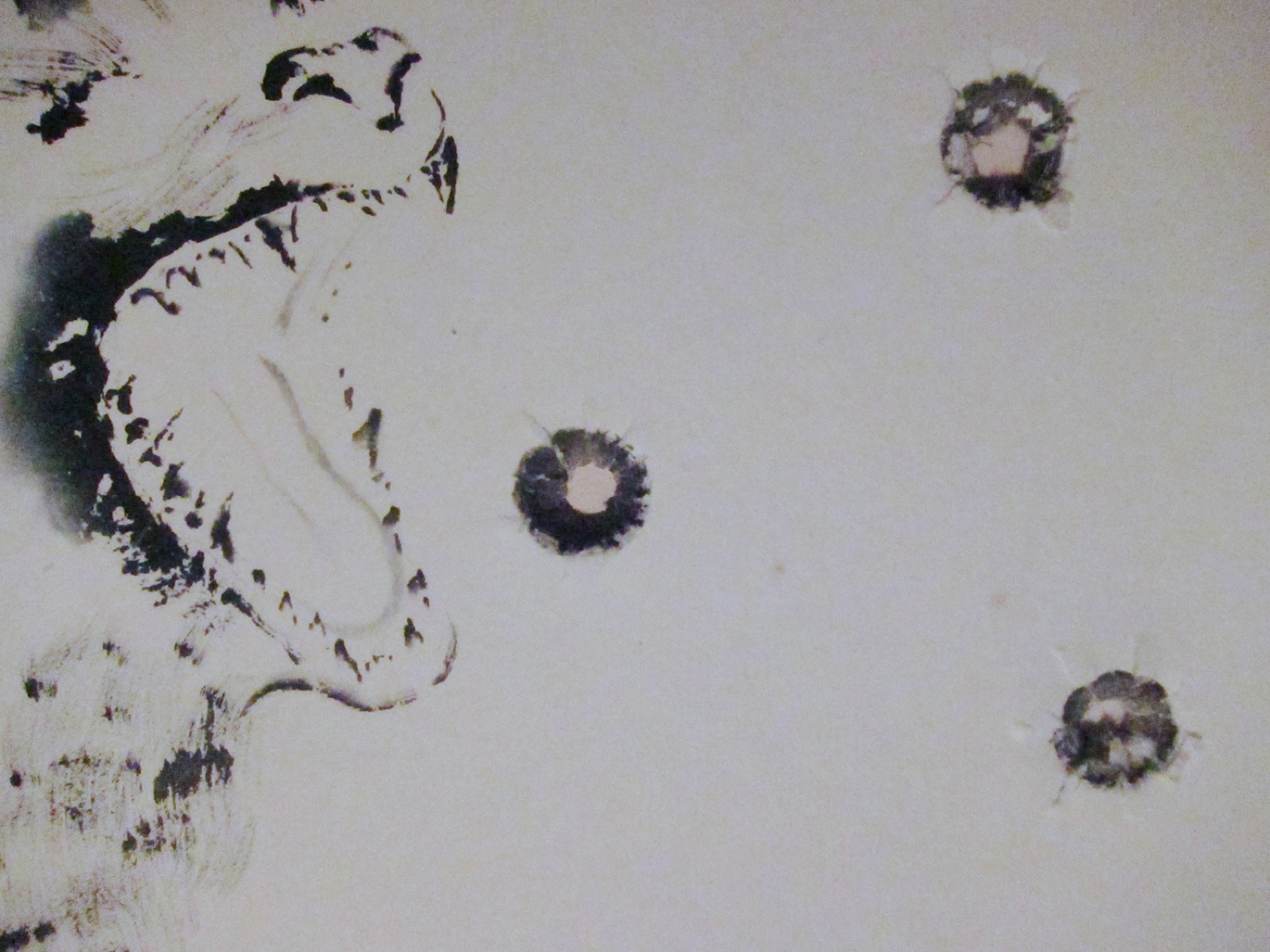 Closeup of Bullet Holes