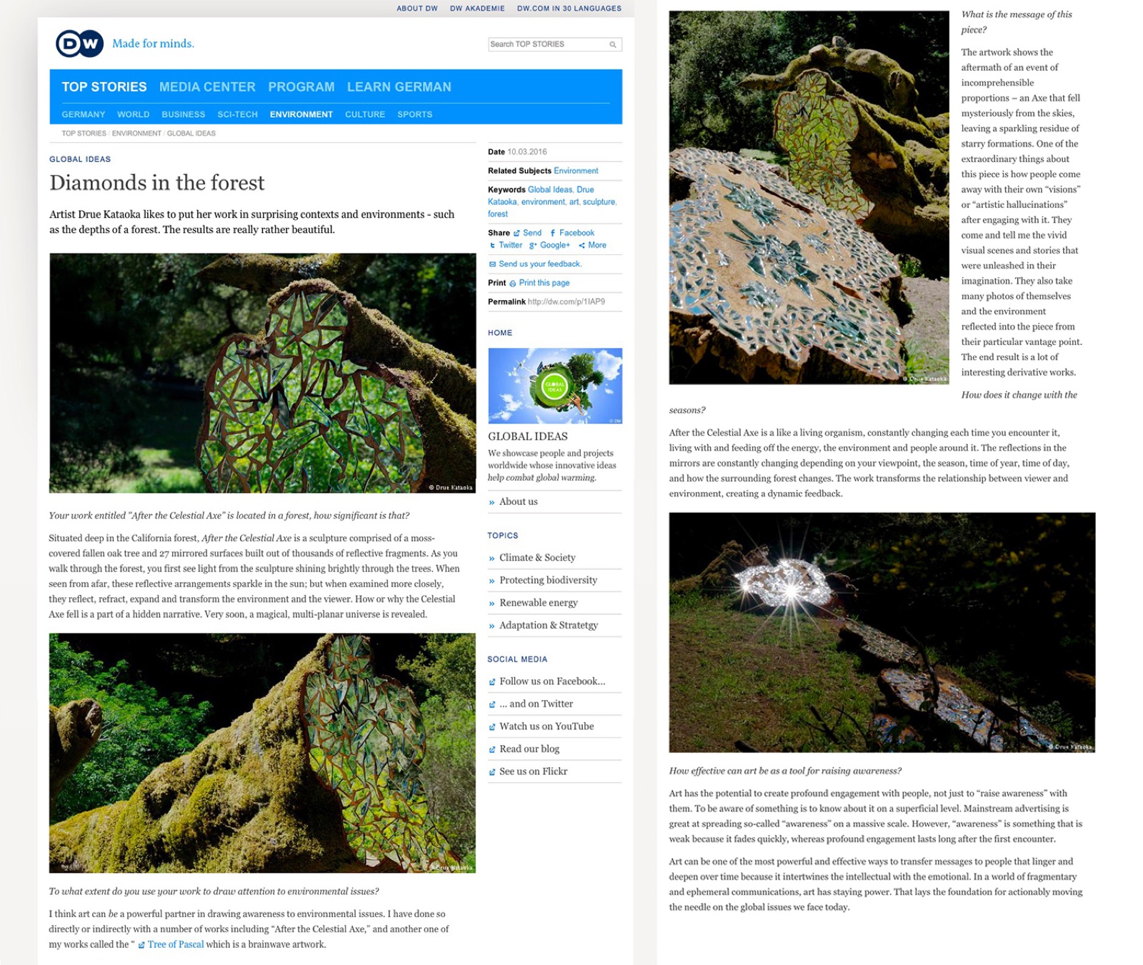 Deutsche Welle DW - Diamonds in the Forest