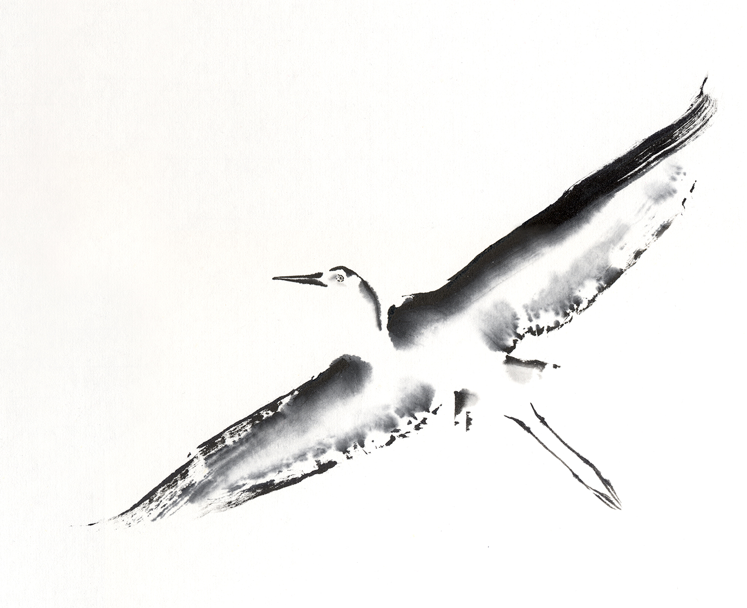 Crane — sumi-e painting by Drue Kataoka