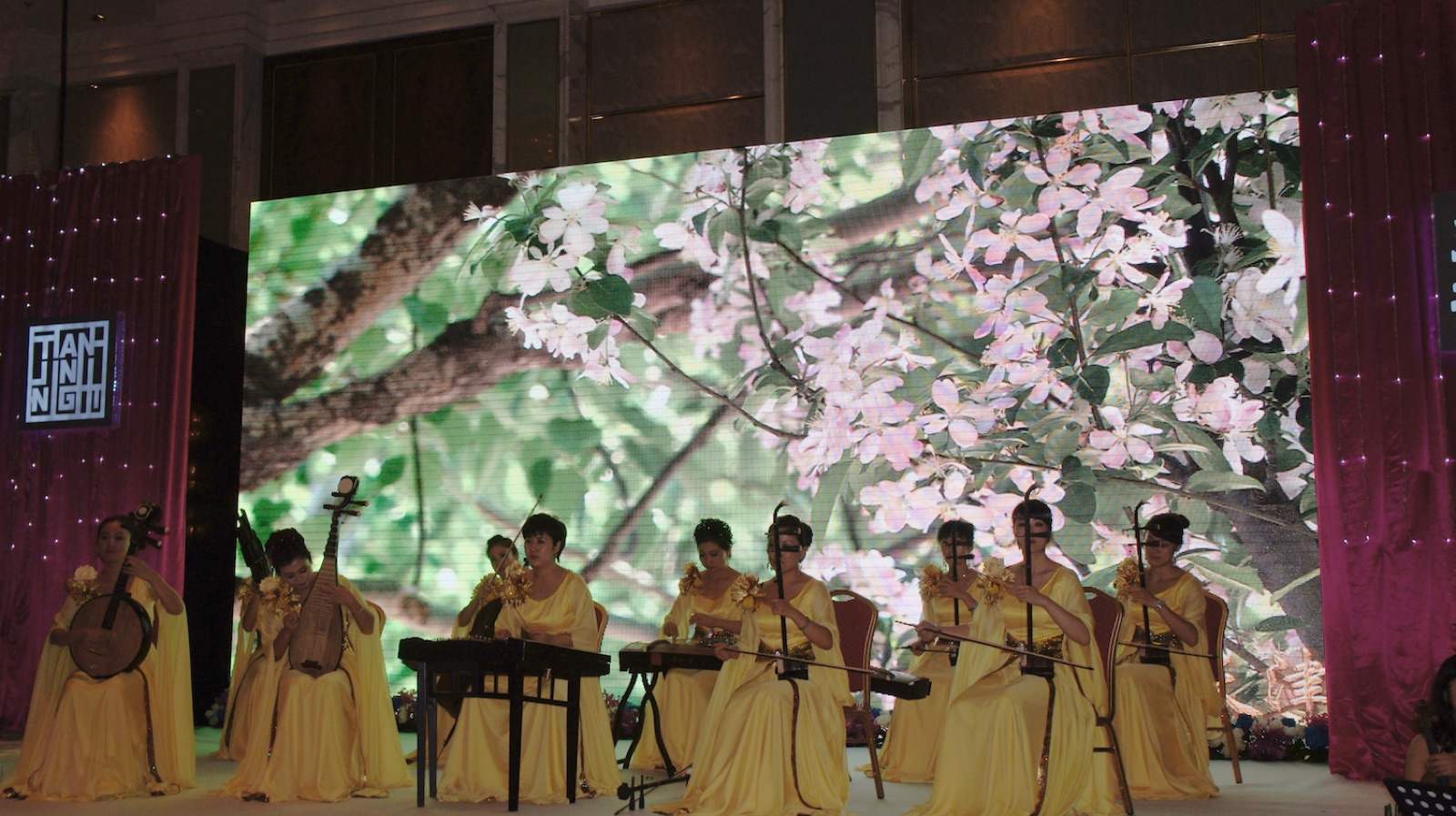 Orchestra at Tianjin Night.